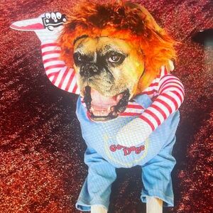 Chuky Dog Halloween Pet Costume, Large